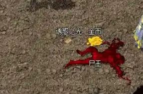 私服网寻今日新区:传奇老玩家教你高效发育与资源积累